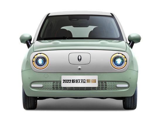 301-405KM Great Wall Motor EV Great Wall ORA Black Cat Ev Baterai LFP