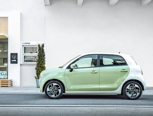 301-405KM Great Wall Motor EV Great Wall ORA Black Cat Ev Baterai LFP