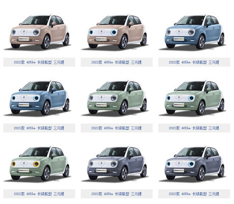 301-405KM Great Wall Motor EV Great Wall ORA Black Cat Ev Baterai LFP