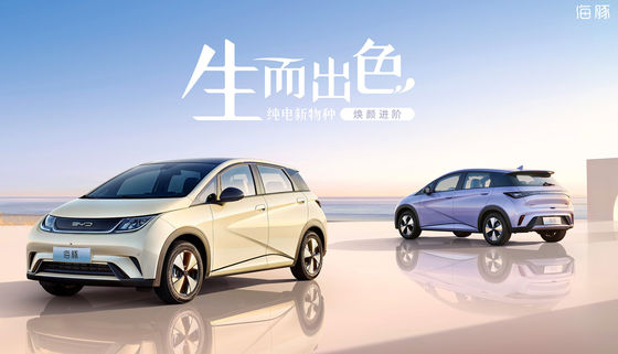 Pure Electric Mini Byd Dolphin Ev 301-405KM 5 Pintu 5 Kursi